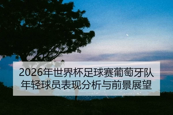 nian-shi-jie-bei-zu-qiu-sai-pu-tao-ya-dui-nian-qing-qiu-yuan-biao-xian-fen-xi-yu-qian-jing-zhan-wang-2-695.jpg