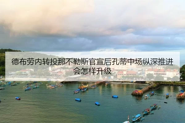 de-bu-lao-nei-zhuan-tou-na-bu-le-si-guan-xuan-hou-kong-di-zhong-chang-zong-shen-tui-jin-hui-zen-yang-sheng-ji-2-688.jpg